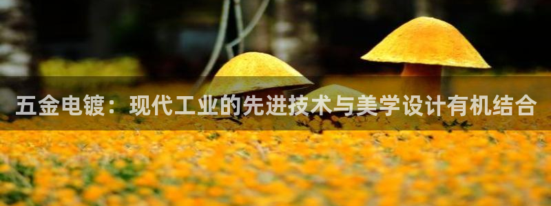 恒行2郑74OOO5