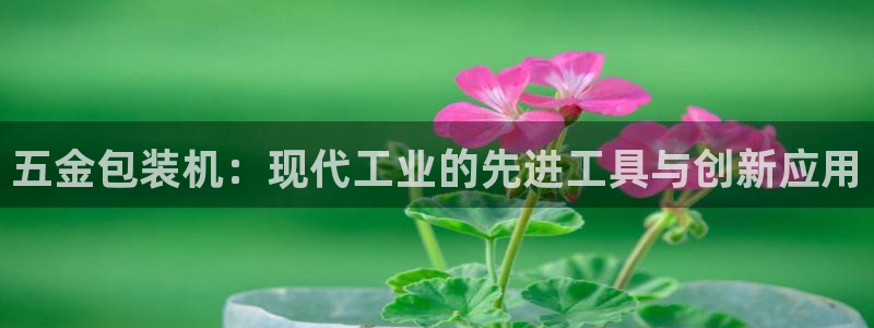 恒行3乃5O6917