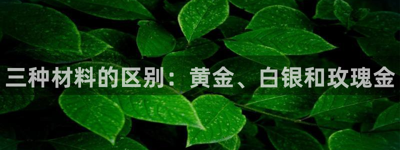 恒行娱乐掏沂74ooo5弛