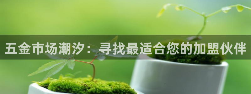 恒行主管招收 6ll5l出奇
