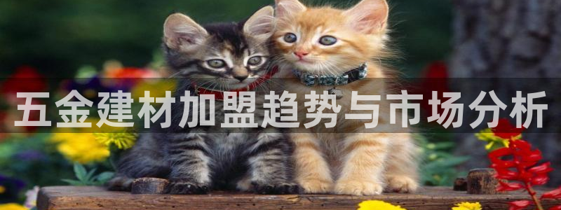 恒行娱乐寻问74 5