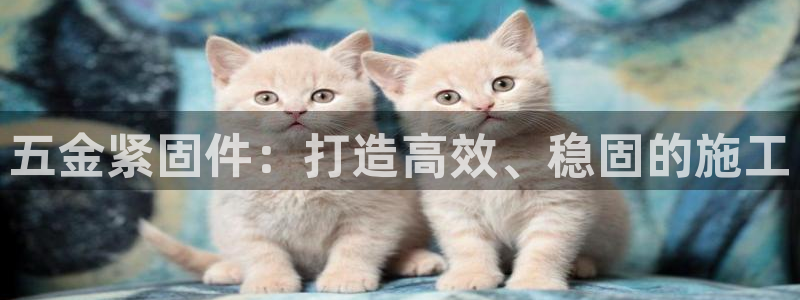 恒指5行情 如来再我心