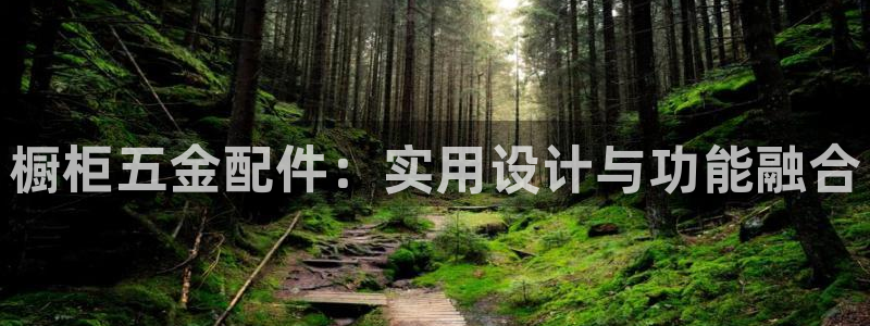 恒行代理总代主导 6ll5l