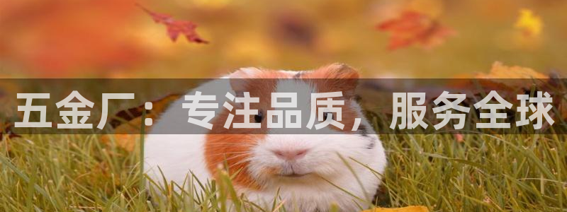 恒行主管招收 6ll5l出奇