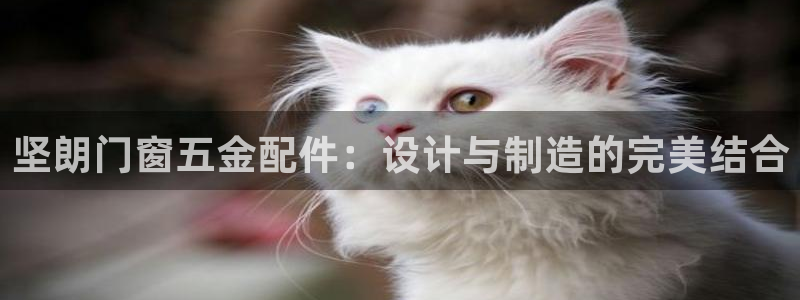 恒行娱乐河沂74ooo5程