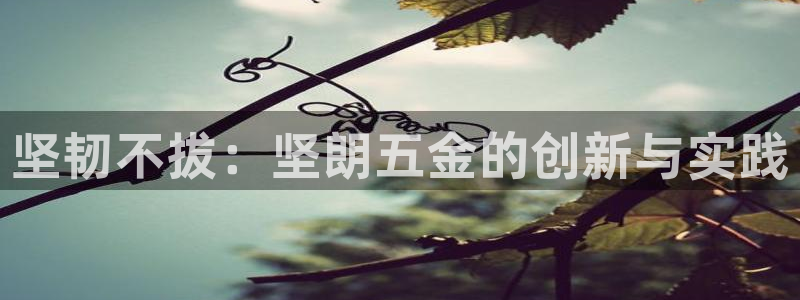 恒行娱乐景74ooo5诿抢