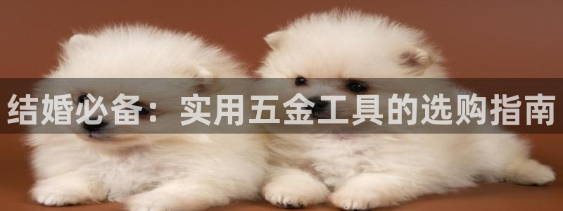 恒行主管6ll5l指定