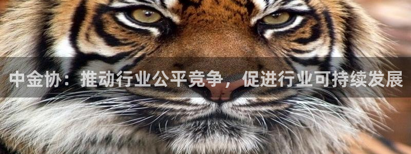 恒行娱乐见5ll533主管