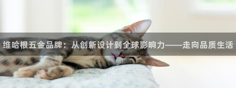 恒行彩票亏5千