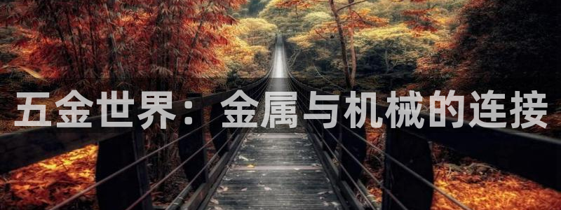 恒行5娱乐