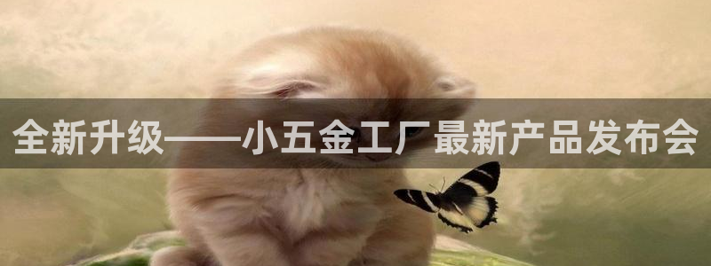 恒行主管招收 6ll5l出奇