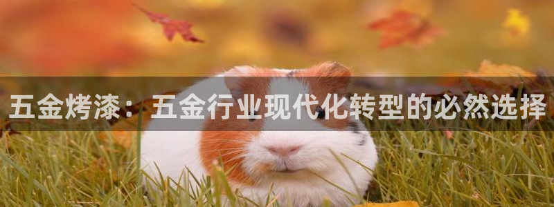 恒行主管总代6ll5l周至