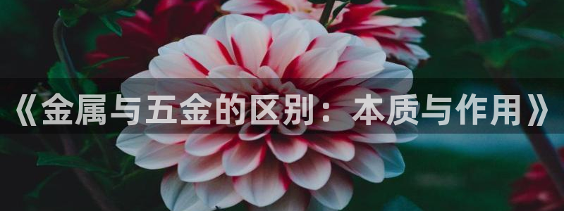 恒行娱乐周74OOO5