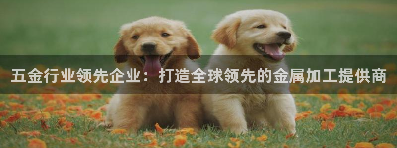 恒行娱乐蜗74ooo5指磁