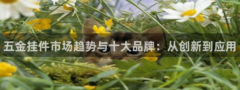 恒在5行中代表什么数字