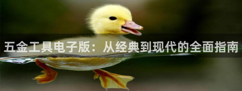 恒行娱乐蜗74ooo5指磁