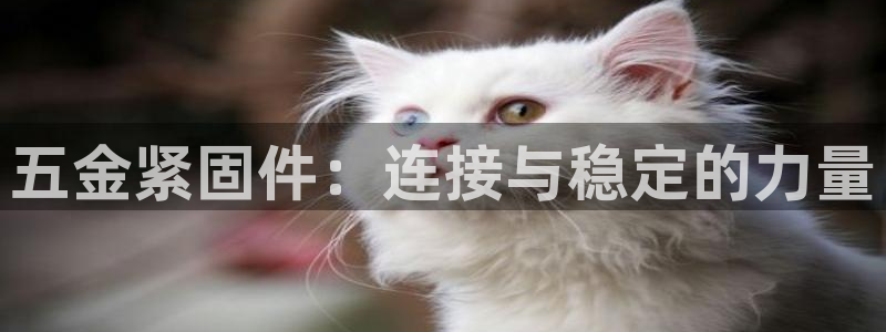 恒行娱乐芍皇74ooo5蛹