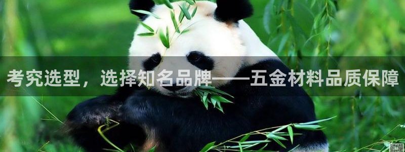 恒行娱乐见5ll533主管