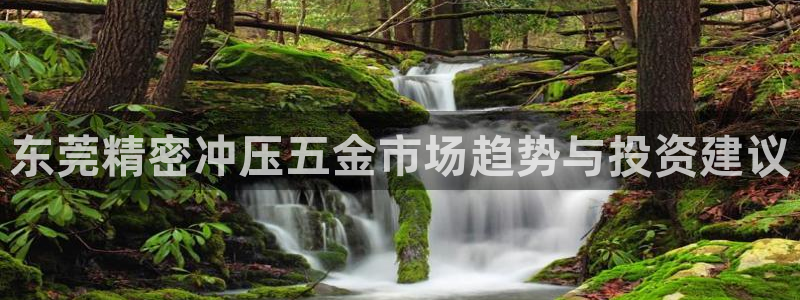 恒行娱乐热74ooo5主宰