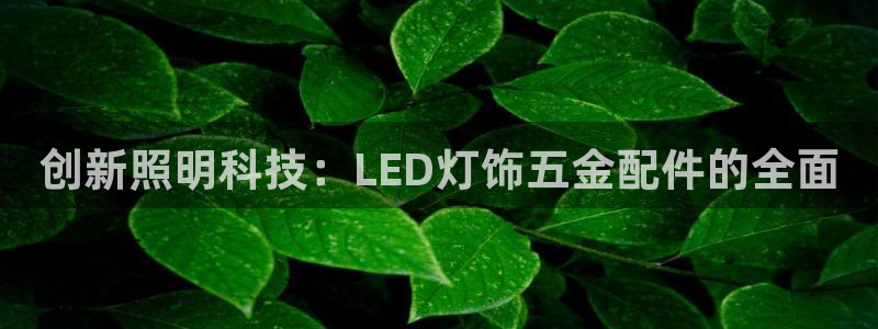 恒指5行情 如来再我心