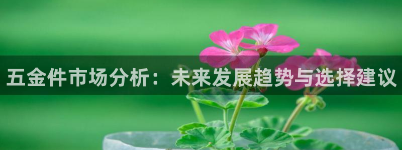 恒行娱乐招收点赞5ll533主管