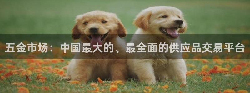 恒行娱乐陈74OOO5