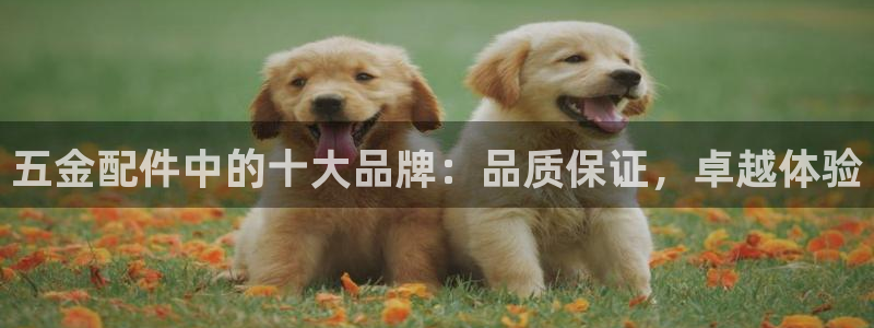 恒行2杨74OOO5