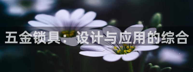 恒行娱乐蜗74ooo5指磁