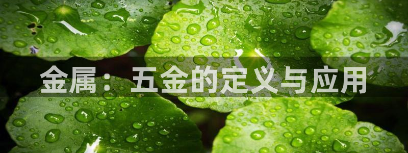 恒行娱乐招收点赞5ll533主管
