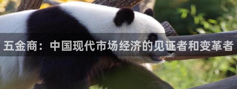 恒行2吴74OOO5