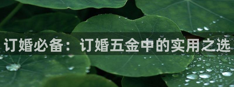 恒行5