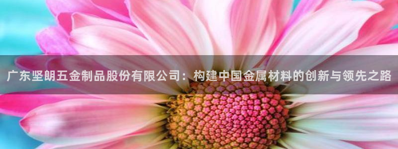 恒行娱乐景74ooo5诿抢