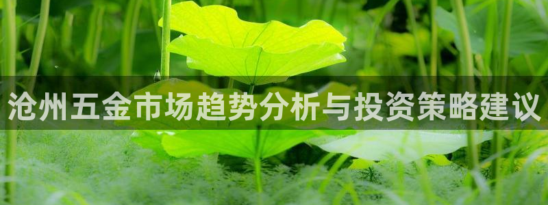 恒行娱乐招收点赞5ll533主管